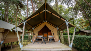Safari-Zelt Duo Lodge im Goolderheide, Belgien, mit Holzterrasse und Sitzbereich im Wald.