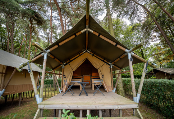 Safaritent Duo Lodge bij Goolderheide in België met houten terras tussen de bomen in het bos.