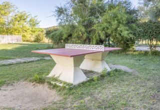 Betonnen buitentafeltennistafel op gras, omringd door bomen bij Seasonova Camping Les Prés du Verdon.