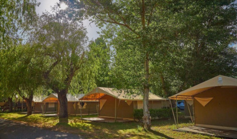 Billedet viser Eco Lodge safari telte under store grønne træer, perfekte for naturoplevelser og glamping.