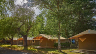 Billedet viser Eco Lodge safari telte under store grønne træer, perfekte for naturoplevelser og glamping.