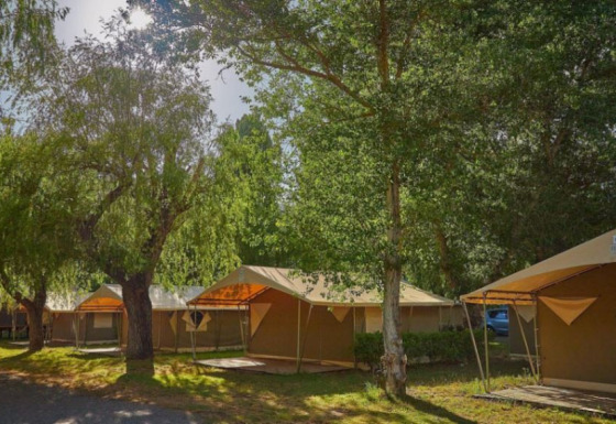 Afbeelding van Eco Lodge safaritenten onder grote bomen, ideaal voor een duurzame glampingervaring.