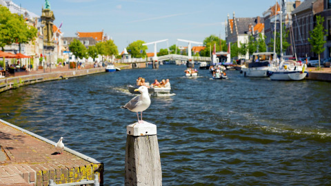 En måge hviler på en pæl ved en kanal i Overveen, Holland, omgivet af både og historiske bygninger.