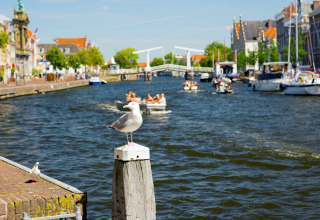 Une mouette posée sur un poteau près d’un canal à Overveen, aux Pays-Bas, avec bateaux et bâtiments anciens.