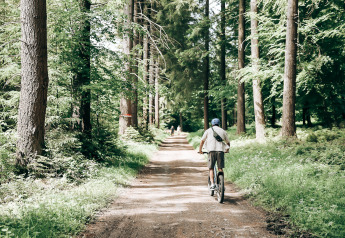 Iemand fietst op een bosweg bij Ecolodge, Hameau de l'Ourthe, omringd door hoge bomen in België.