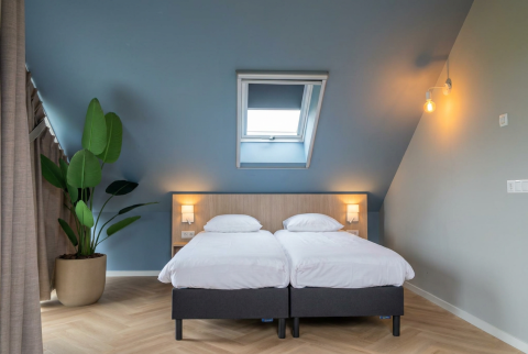 Modern lodge room with two single beds, a skylight window, green plant, and calm blue walls.