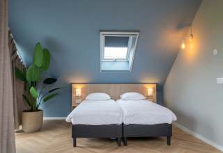 Moderne lodgekamer met twee aparte bedden, een dakraam, groene plant en blauwe muren.