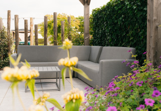 Buitenzitruimte bij Veluwelodge XL op De Boshoek, met een grijze sofa en bloemen op de voorgrond.