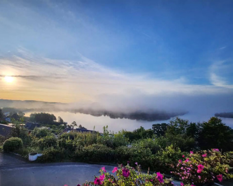 Zonnig ochtendzicht over het meer en bos bij Silkeborg, Denemarken, met mist en bloemen op de voorgrond.