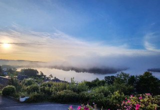Zonnig ochtendzicht over het meer en bos bij Silkeborg, Denemarken, met mist en bloemen op de voorgrond.