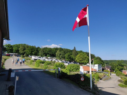 Campingplads med Dannebrog-flag, gæster der går, campingvogne og grønne træer i Central Danmark.