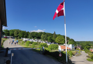 Campingplads med Dannebrog-flag, gæster der går, campingvogne og grønne træer i Central Danmark.
