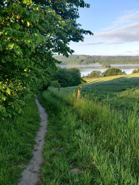 Sentiero naturale vicino a Silkeborg, Danimarca, con erba verde, alberi e vista lago tra colline boscose.