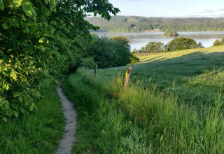 Natuurpad nabij Silkeborg, Denemarken, met groen gras, bomen en uitzicht op het meer en beboste heuvels.