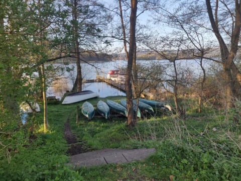 Barques près d'un ponton au bord d’un lac entouré d’arbres à Terrassen Camping, région du Danemark central.