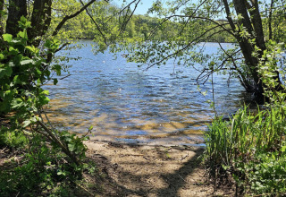 Uitzicht op een rustige plas omgeven door groene bomen en struiken nabij Silkeborg in Midden-Denemarken.