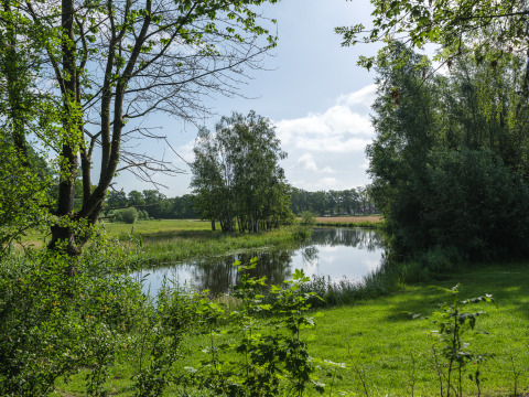 Uitzicht op vijver en groene weide bij River Mirrorlodge, Holiday park Mölke, Nederland, op een zonnige dag.