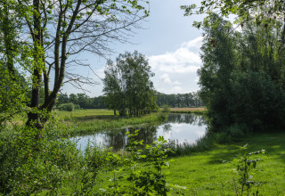 Uitzicht op vijver en groene weide bij River Mirrorlodge, Holiday park Mölke, Nederland, op een zonnige dag.