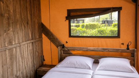 Interno di tenda safari di lusso con letti in legno e vista giardino al Camping 't Veld nei Paesi Bassi.