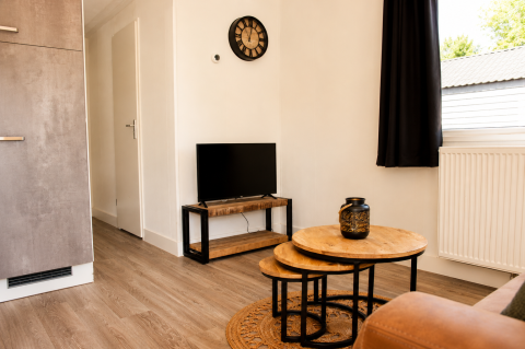 Soggiorno moderno nel Beach chalet al Camping 't Veld, Paesi Bassi con TV, tavolini rotondi e pavimento in legno.
