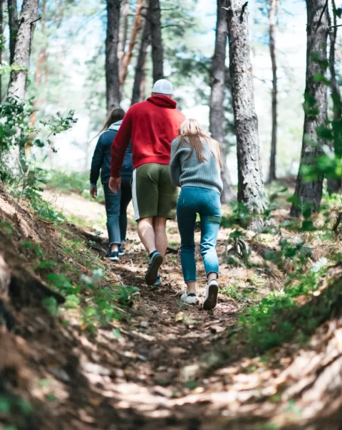 Drei Menschen wandern einen Waldweg entlang in der Nähe von Saint-Galmier, Pays de la Loire, Frankreich.