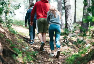 Trois personnes randonnent sur un sentier forestier près de Saint-Galmier, Pays de la Loire, France.