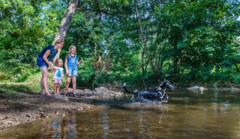 Familie mit zwei Kindern und Hund spielt am Flussufer auf einem bewaldeten Campingplatz in Frankreich.