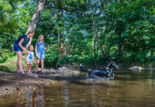 Une famille avec deux enfants et un chien joue au bord d'une rivière sur un camping boisé en France.