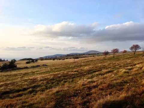 Paysage autour de Saint-Galmier, Pays de la Loire, France, montrant une prairie, des arbres épars et des collines aux horizons.