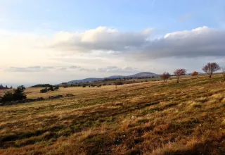 Landskab tæt på Saint-Galmier i Pays de la Loire, Frankrig, med åbne marker, træer og fjerne bakker under blå himmel.