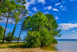 Pins au bord du lac sous un ciel bleu, Seasonova Camping Le Lac de Cazaux, Occitanie, France.