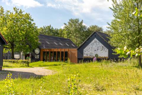 Casa vacanze moderna circondata dal verde nel parco vacanze Lauwersmeer a Groningen, Paesi Bassi.