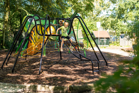 Niños jugando en un columpio con forma de insecto en el parque infantil de Lauwersmeer, Groningen, Países Bajos.