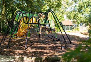Bambini giocano su una struttura da arrampicata a forma di insetto nel parco giochi di Lauwersmeer, Groningen.