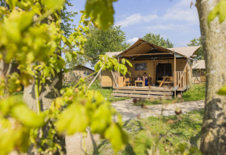 Tienda Safari 4 en Lauwersmeer, Países Bajos: glamping acogedor con terraza en un entorno natural verde.