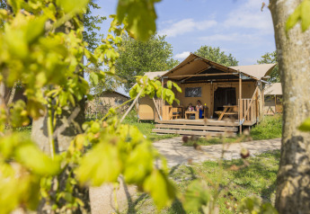 Tienda Safari 4 en Lauwersmeer, Países Bajos: glamping acogedor con terraza en un entorno natural verde.