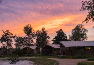 Tramonto sul parco vacanze Lauwersmeer a Groningen, Paesi Bassi, con tende glamping e alberi intorno.