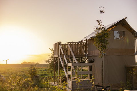 Casa del árbol al atardecer en el parque de vacaciones Lauwersmeer, Groningen, Países Bajos, rodeada de naturaleza.
