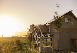 Casa del árbol al atardecer en el parque de vacaciones Lauwersmeer, Groningen, Países Bajos, rodeada de naturaleza.