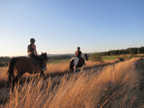 Due persone a cavallo attraversano campi dorati vicino a Saint Geniez d'Olt, Occitania, Francia al tramonto.