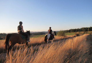 Due persone a cavallo attraversano campi dorati vicino a Saint Geniez d'Olt, Occitania, Francia al tramonto.