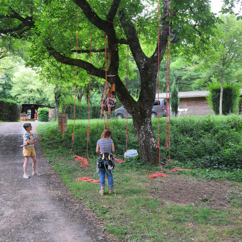 Enfants et adultes font de l’escalade d’arbres avec harnais dans un camping verdoyant en Occitanie, France.