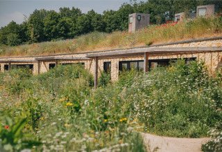 Lodge Hillside Comfort 4 i Gulpen, Holland, med vilde blomster og græs på tagene og omgivet af natur.