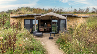 Buitenaanzicht van de Hillside Royal 4-lodge met een groendak, terras en wilde bloemen eromheen.