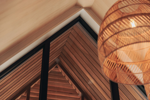 Interiørbillede af et loft med træpaneler og en moderne lampe i Tiny House 2, Nieuwvliet-Bad, Holland.