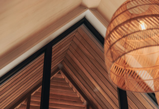 Interiørbillede af et loft med træpaneler og en moderne lampe i Tiny House 2, Nieuwvliet-Bad, Holland.