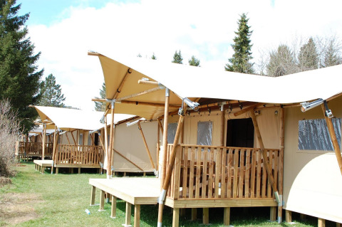 Reihe von Dreamer Safari-Zelten mit Holzveranda, umgeben von grünen Bäumen unter klarem Himmel.