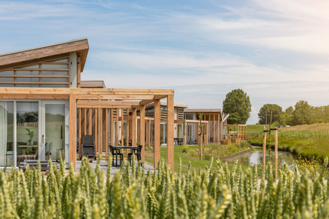 Moderne Ferienhäuser am Wasser im Water Village Park, Zeeland, Niederlande, umgeben von Natur.