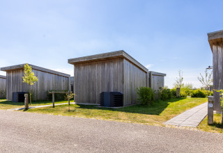 Moderne houten lodge met plat dak in Water Village, Nederland, op een zonnige dag met blauwe lucht.