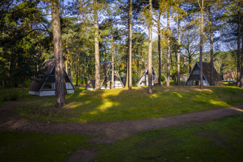 Drie A-vormige huisjes tussen hoge bomen in Bospark 't Wolfsven vakantiepark in Noord-Brabant, Nederland.